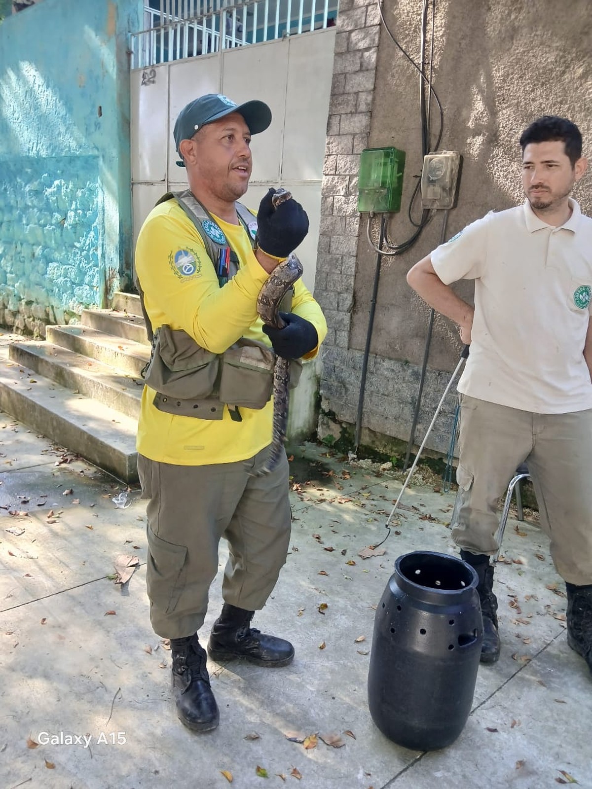 Jiboia é resgatada em Bangu e reintroduzida na natureza após avaliação veterinária