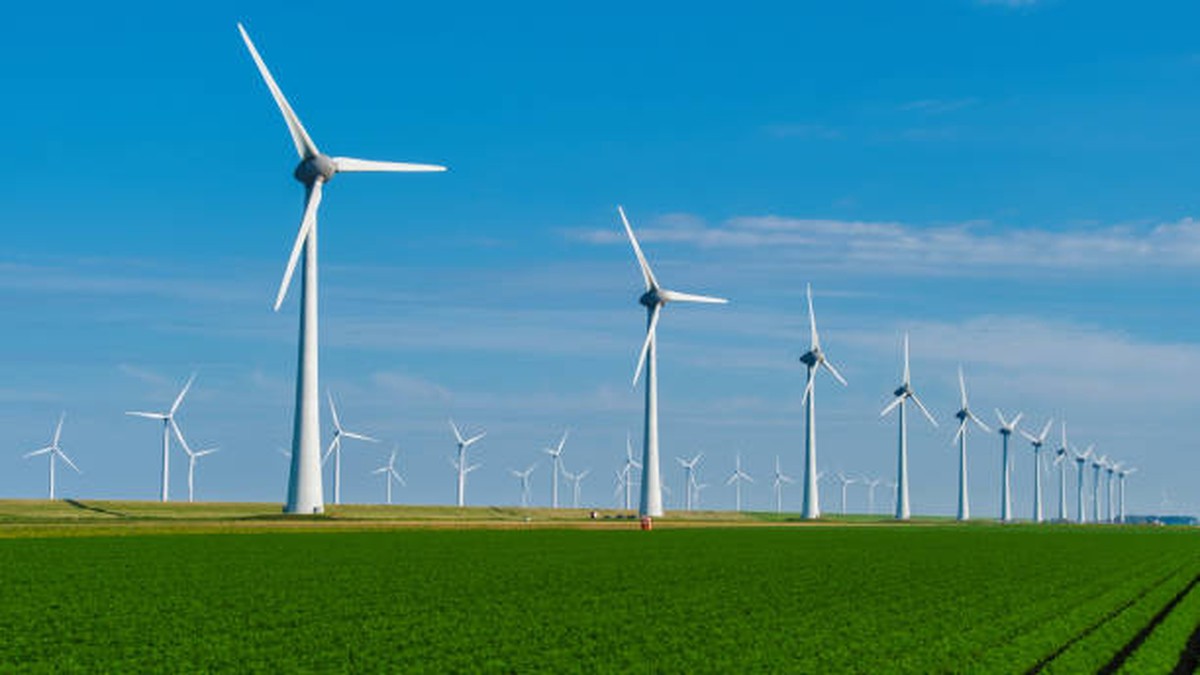 Fundo Clima prioriza investimentos em energia renovável para 2025 Energia Eólica (Foto: Banco de imagem)