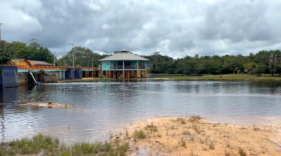 Com menos fungos, há uma menor decomposição dos igarapés, o que significa menos nutrientes disponíveis na água. (Foto: Carla Carvalho/Rede Amazônica)