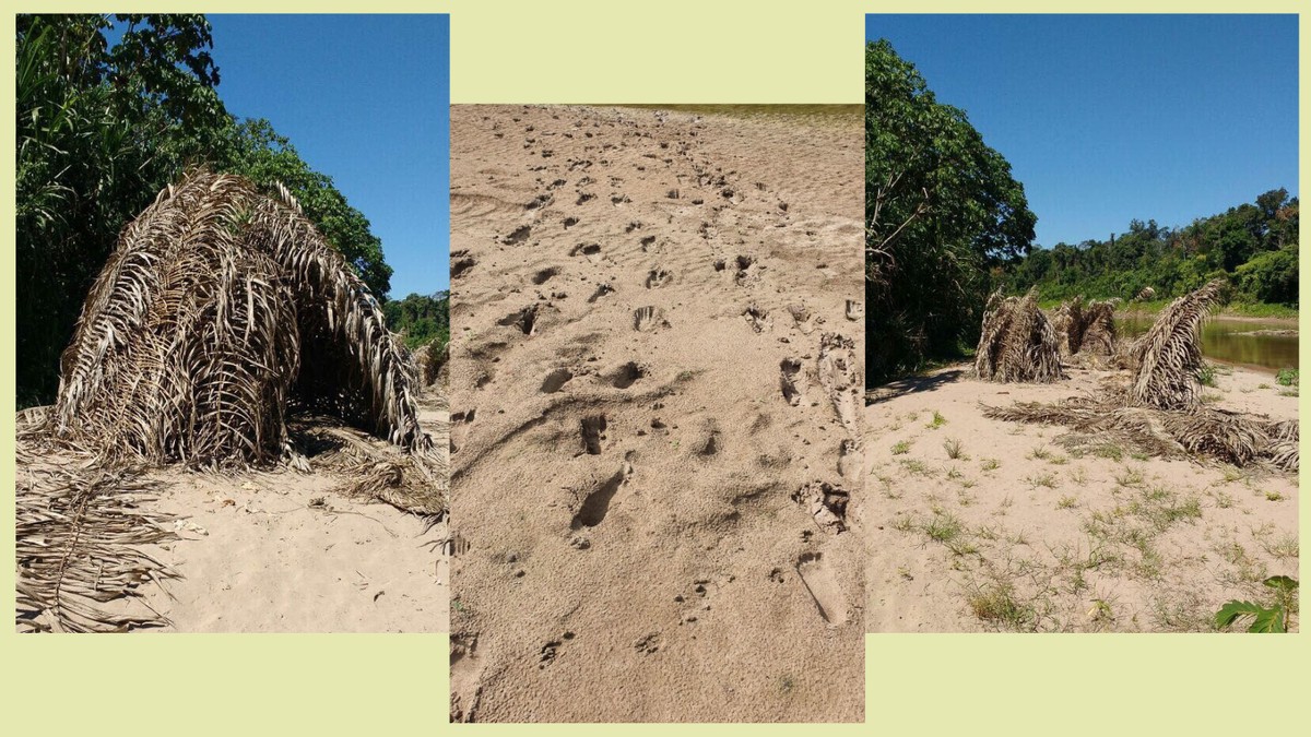 Mashco Piro enfrenta cerco silencioso na fronteira entre Brasil e Peru Grupo Mashco Piro em aparição rara no Rio Las Pedras em Madre de Dios, no Peru (Foto: Survival International)