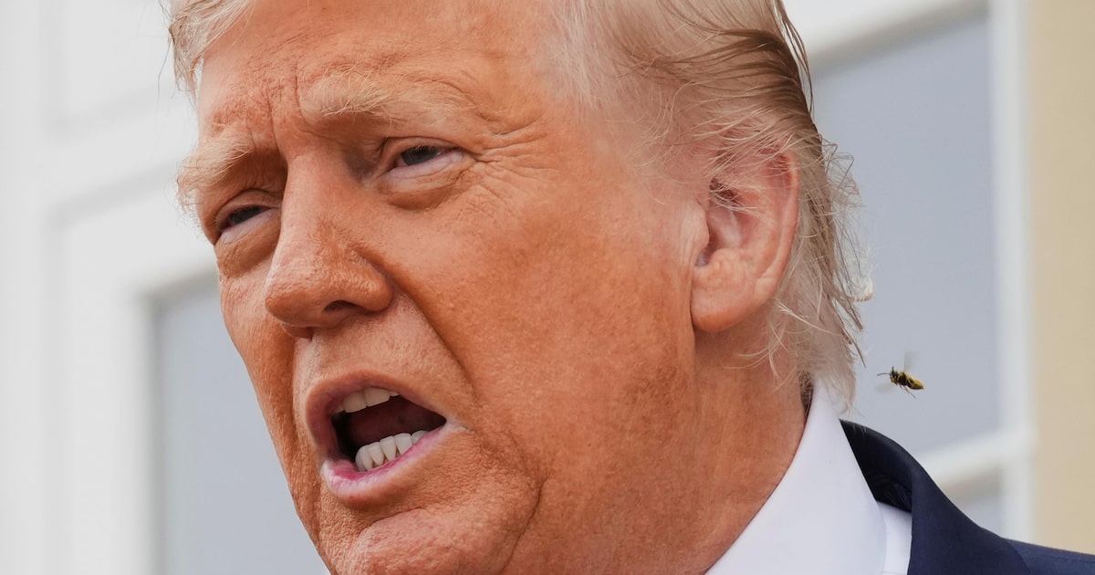 Donald Trump, presidente dos EUA, impôs tarifa de 50% a produtos brasileiros (Foto: Jacquelyn Martin/AP)