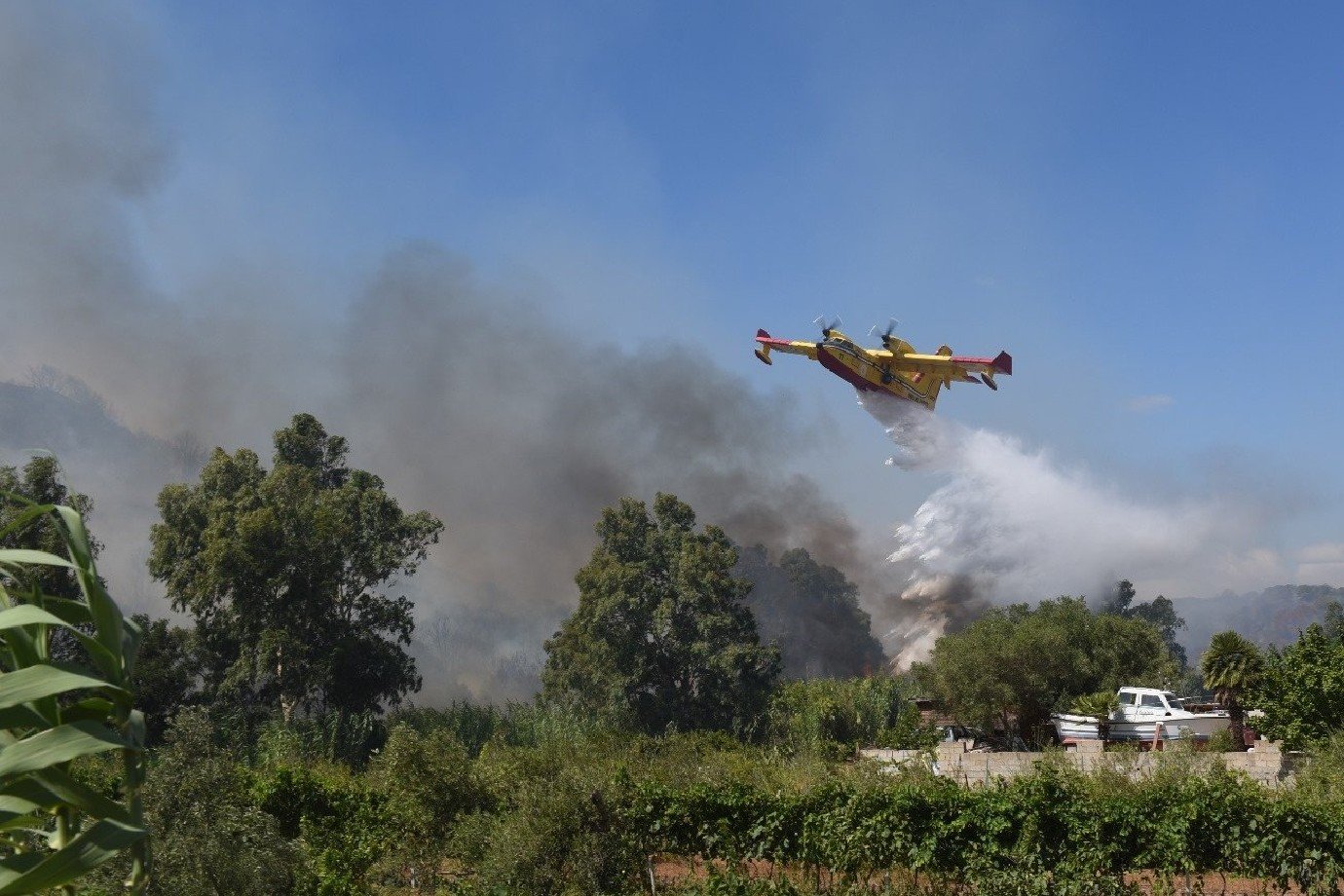 Incêndio florestal atinge praia na Itália e força banhistas a evacuarem a área Trump diz que tarifa mínima para todos os países será 'de 15% ou 20%' (Foto: Reprodução)