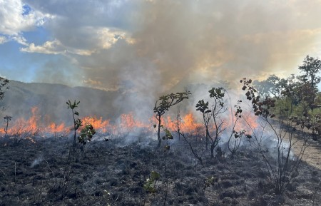 Reserva Natural Serra do Tombador: estudo aborda uso criterioso e metódico de queimadas, e não incêndios descontrolados de origem natural ou criminosa (Foto: Alessandra Fidelis/Unesp)
