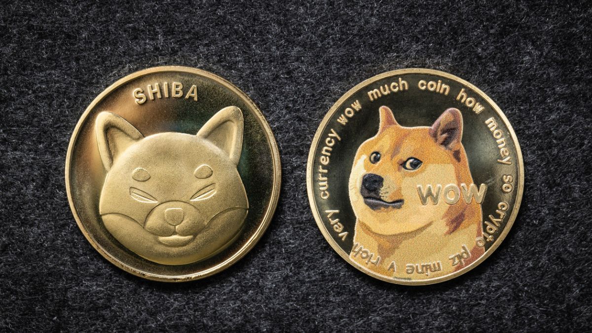 Especialista aponta tecnologia capaz de identificar memecoins com grande potencial de lucro memecoin cripto criptomoeda ativo digital (Foto: Reprodução)