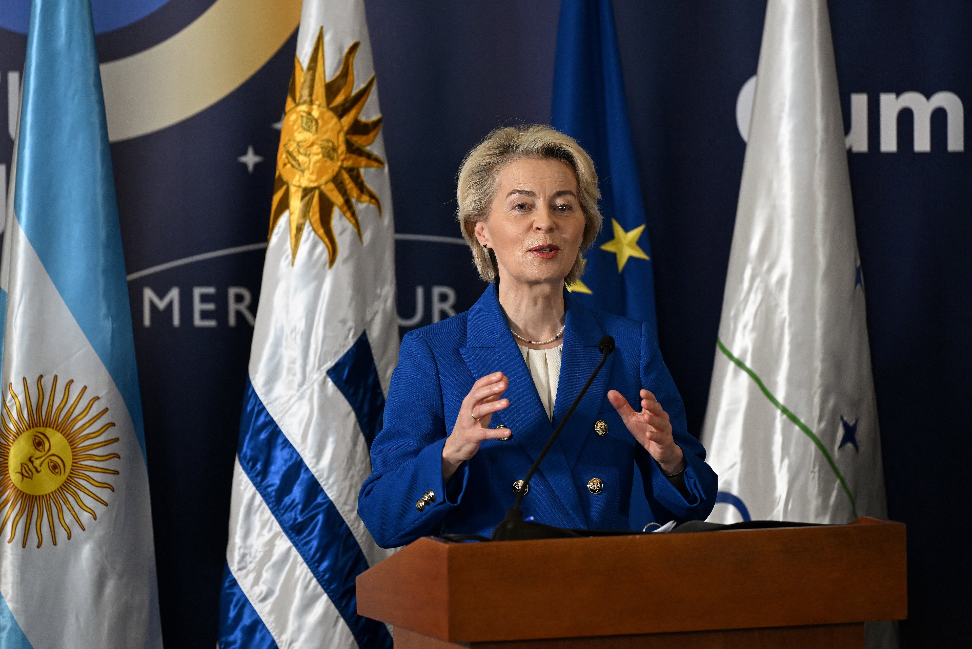 Lula afirma que a presidência brasileira do Mercosul é uma oportunidade para refletir sobre a posição global (Foto: Reprodução)