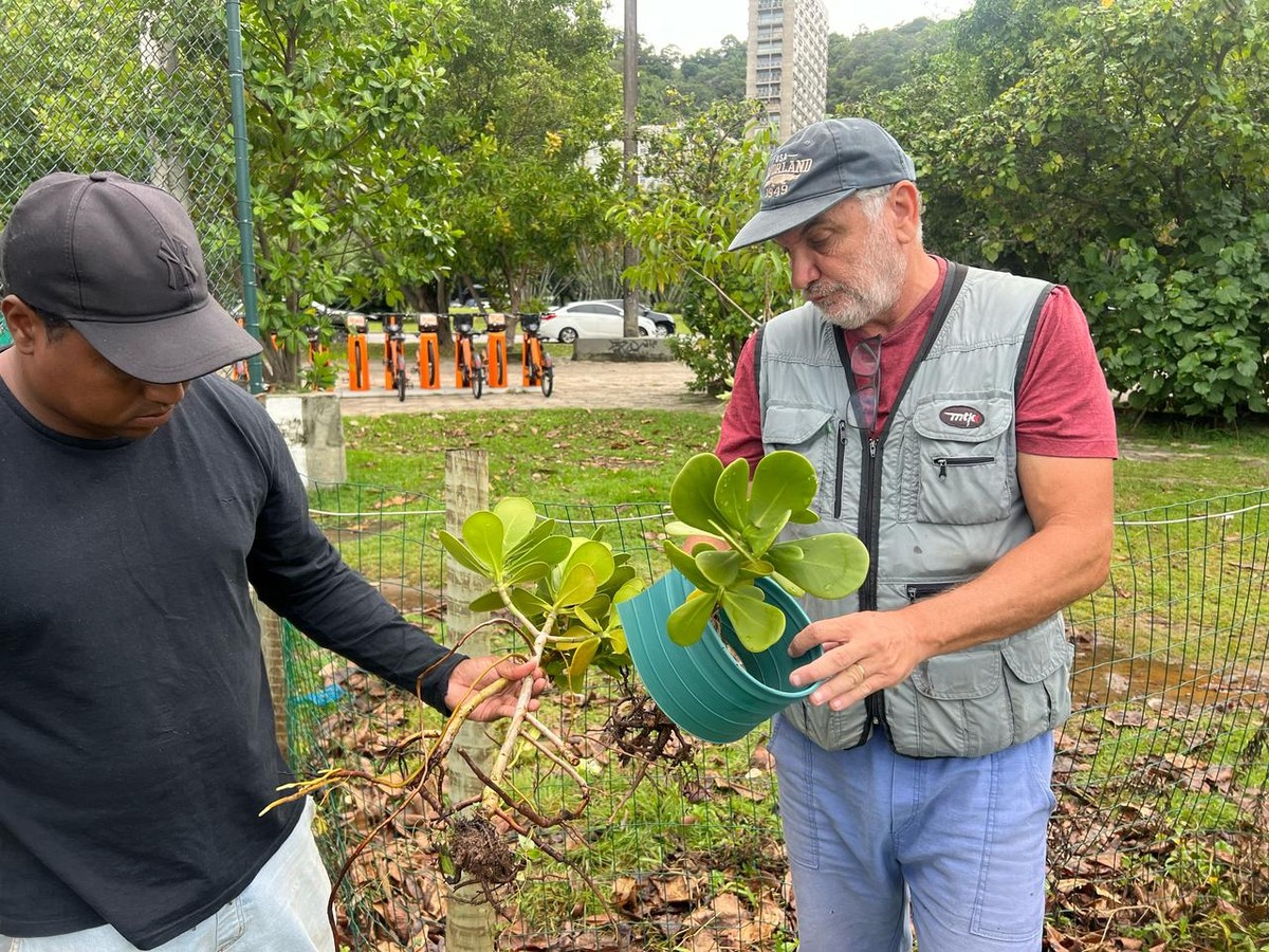 Foto:Reprodução