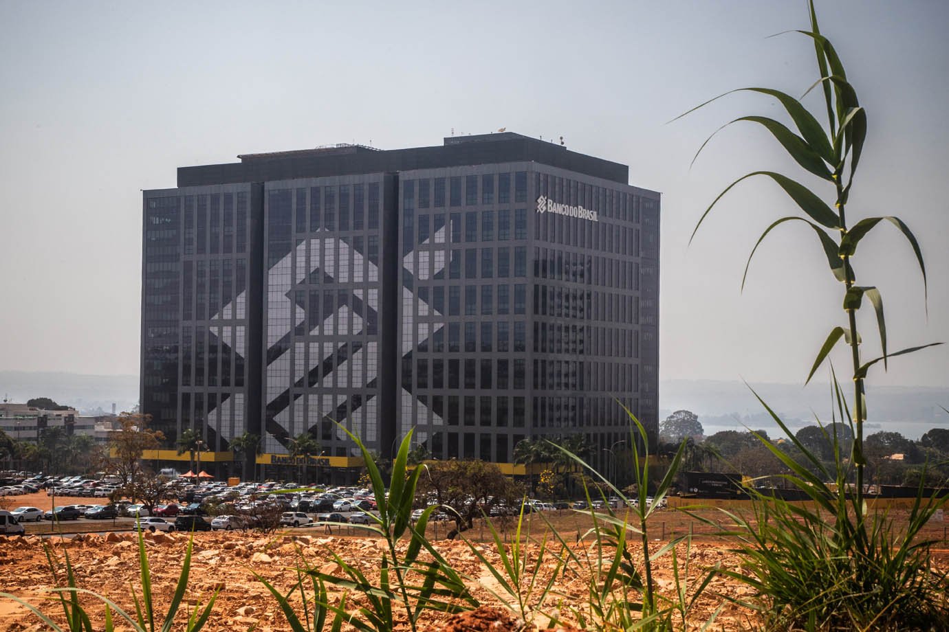 Banco do Brasil: analistas citam “ventos contrários” no setor rural para redução do lucro (Foto: Leandro Fonseca)
