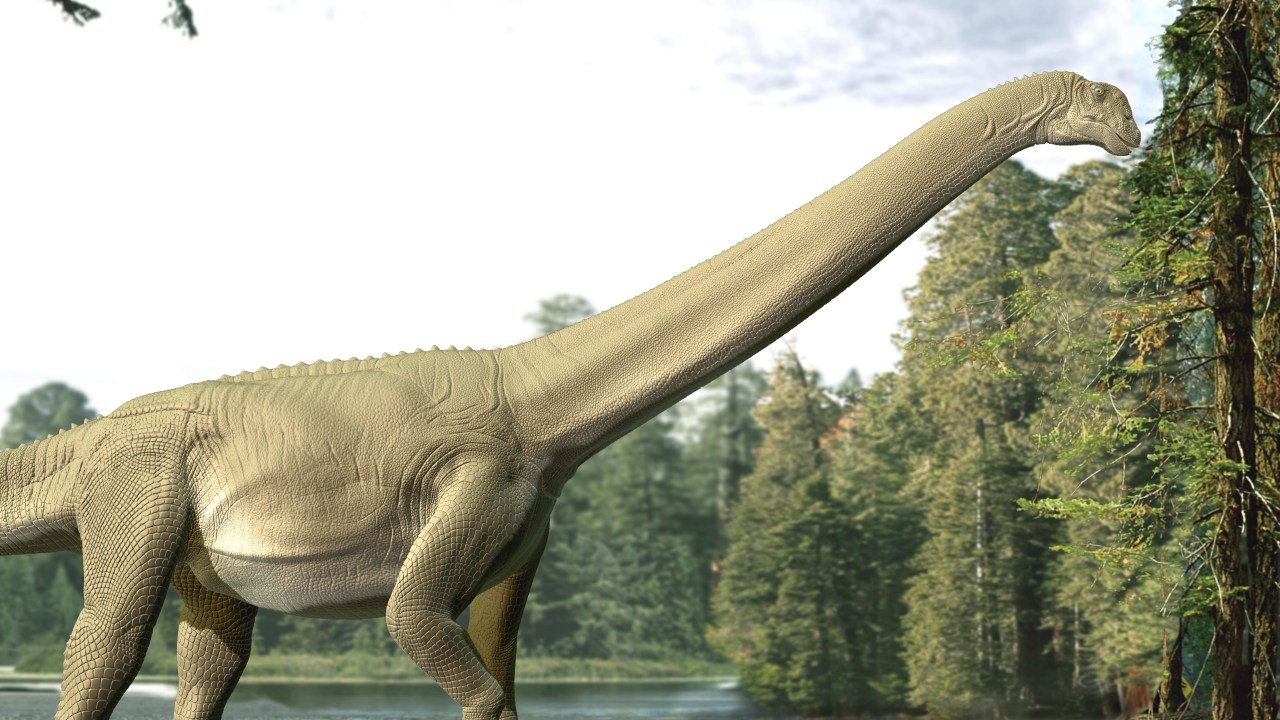 Fóssil raro revela detalhes surpreendentes da última refeição de dinossauro gigante