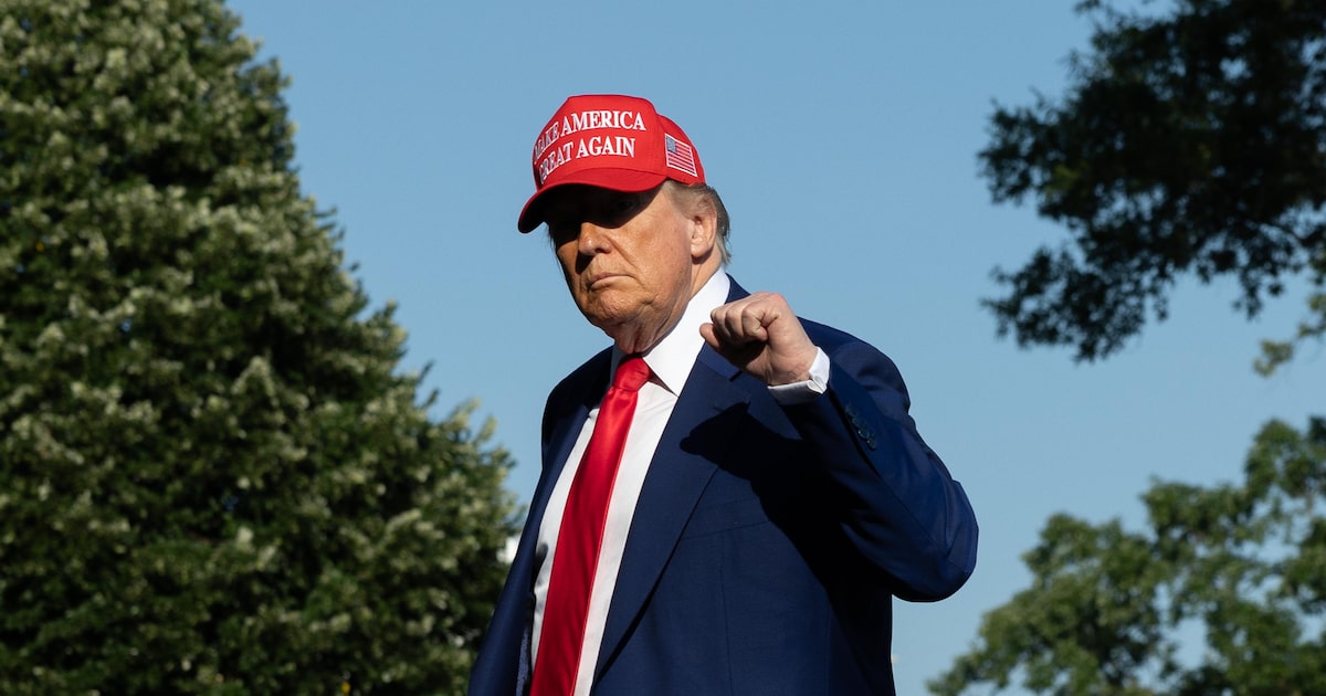 A direita brasileira ligada a Trump enfrenta crise nas eleições futuras O presidente dos EUA Donald Trump elevou a taxação de produtos brasileiros (Foto: Anna Rose Layden/NYT)