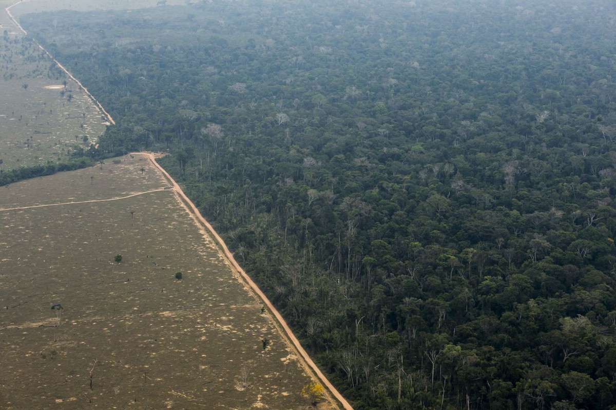Restaurar o chamado arco do desflorestamento é uma das diretrizes desenhadas para o Fundo Amazônia (Foto: Edilson Dantas / Agencia O Globo)