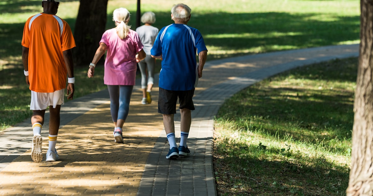 Caminhar regularmente traz benefícios significativos para o condicionamento físico Caminhada é exercício popular, acessível e benéfico (Foto: LIGHTFIELD STUDIOS/Adobe Stock)