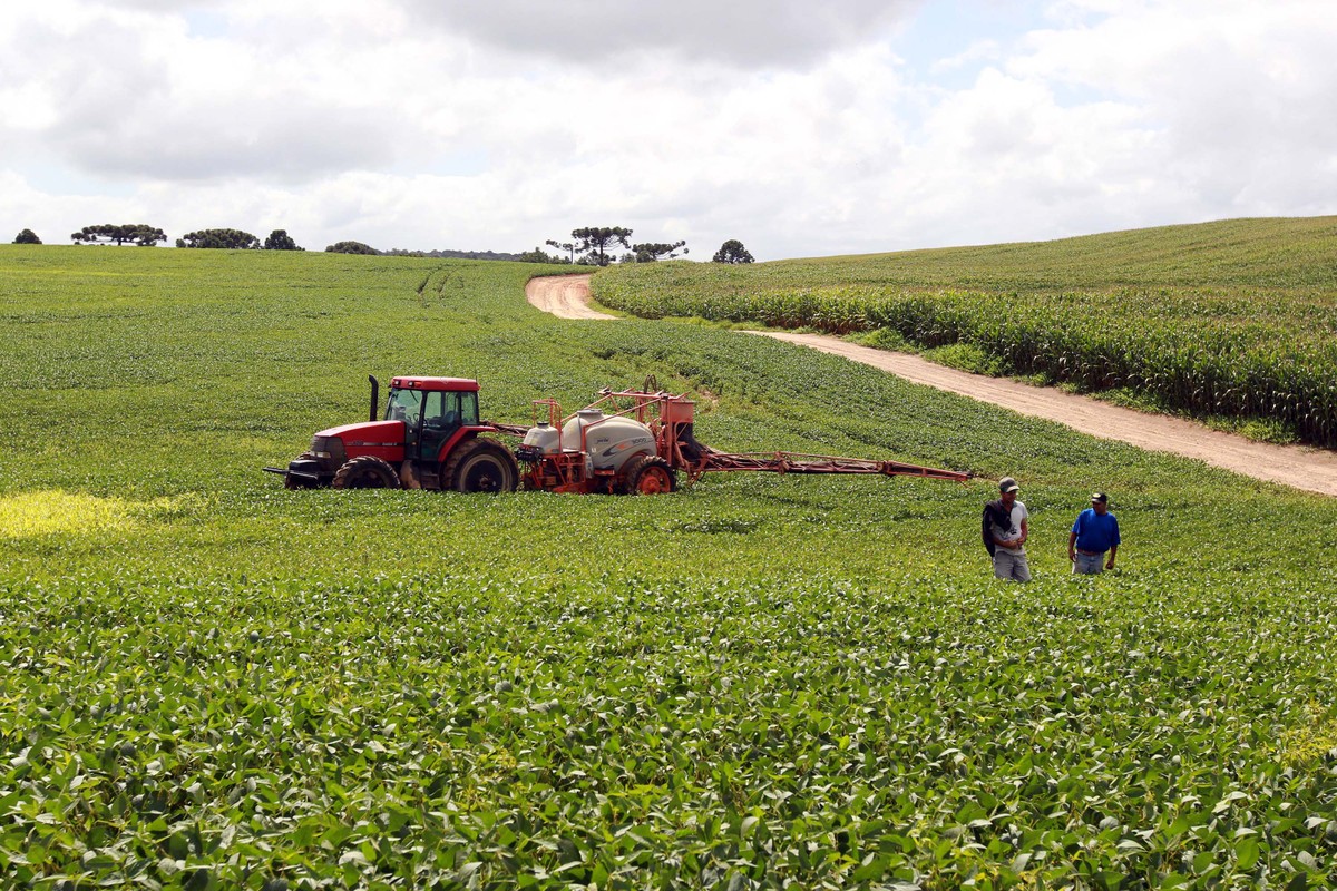 Acesso ao desconto abrange mais de 10 mil fazendas que se estendem por 8,5 milhões de hectares — Foto: Gilson Abreu / AEN