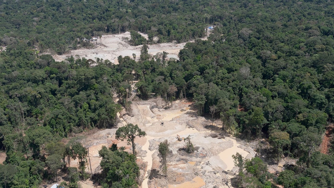 Desmatamento da Amazônia cresce significativamente nos últimos 12 meses