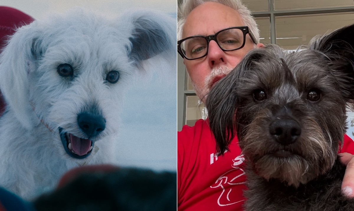 Cachorro real inspira Krypto, o super-doguinho do novo filme do Superman Krypto, super-doguinho visto em 'Superman' (2025), foi inspirado em animal do diretor James Gunn (Foto: Divulgação / Instagram)