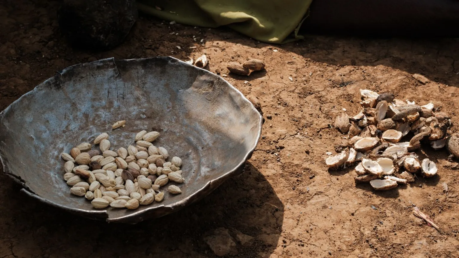 Crianças morrem devido à falta de alimentos em acampamento no Sudão Crianças morrem devido à falta de alimentos em acampamento no Sudão