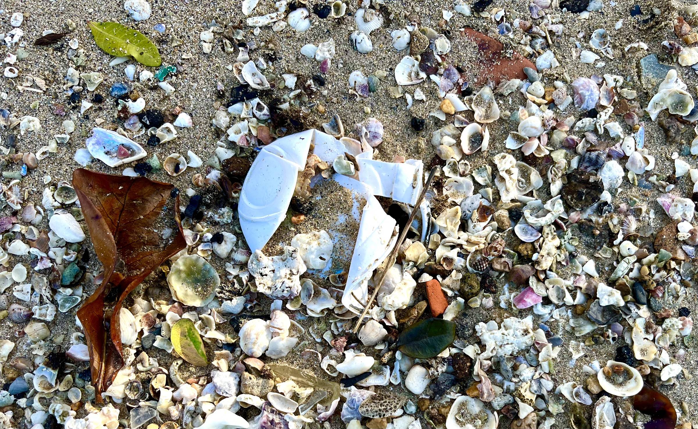 Transformação de resíduos gera novas oportunidades sustentáveis Poluição por plástico em praia brasileira (Foto: Camila Pierobon - 17.out.24/Ecologias Emergentes)