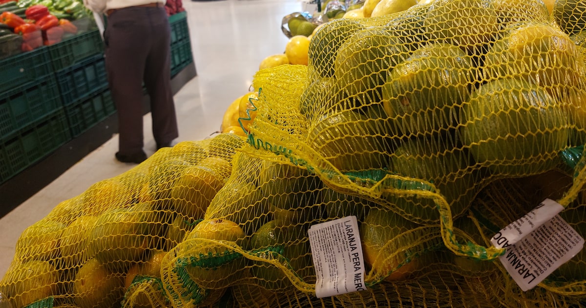 Foto:Reprodução