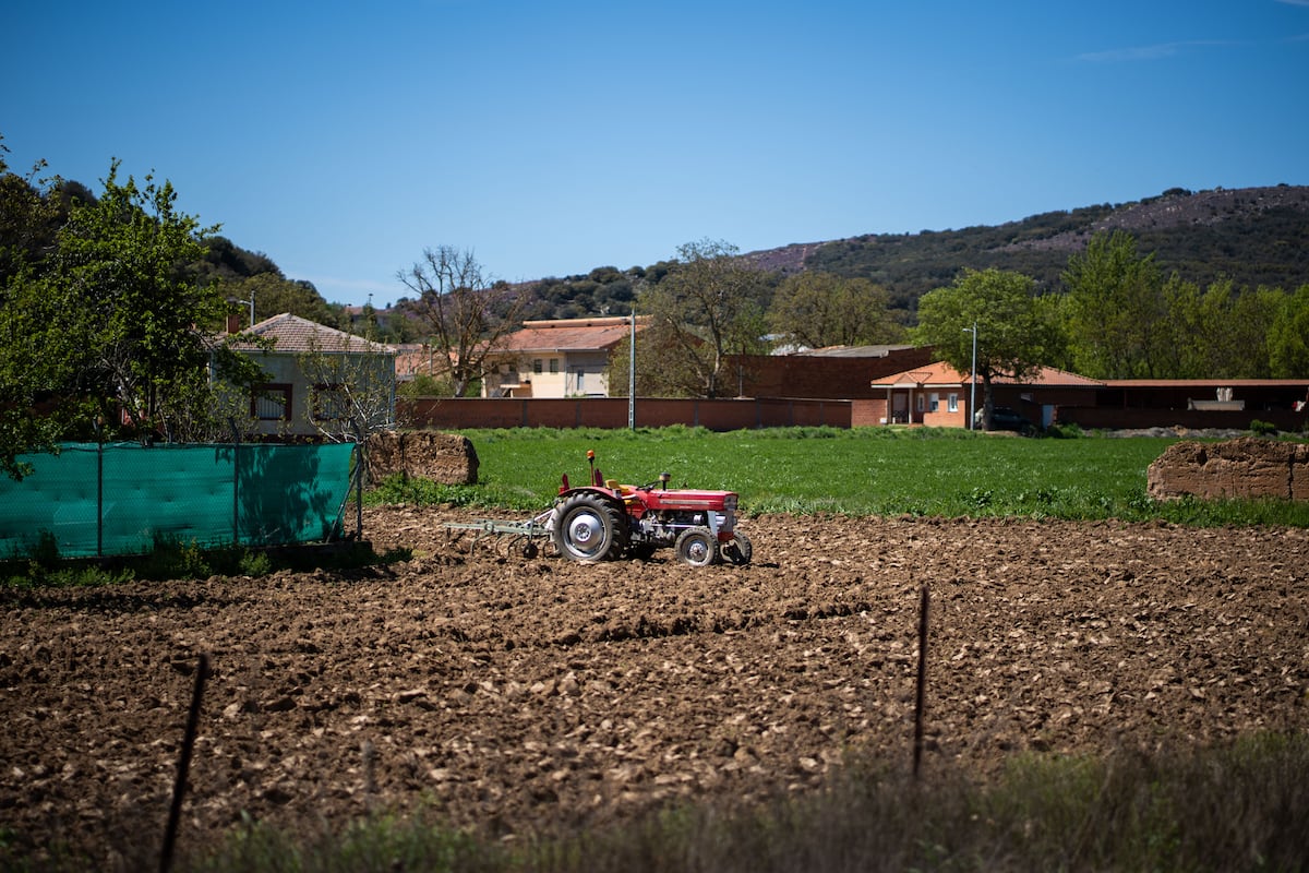 Horticultores de León enfrentam crise com proibição de irrigação em suas lavouras Huerta próxima à bacia do Órbigo. (Foto: Emilio Fraile)