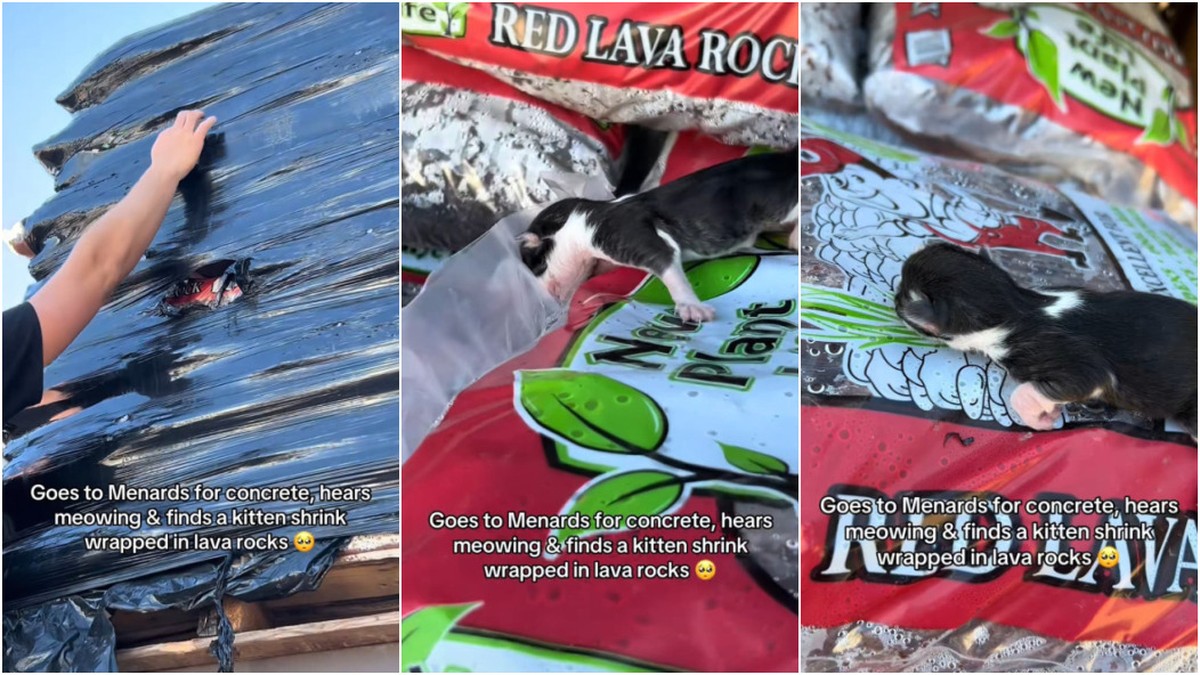 Foto:Reprodução