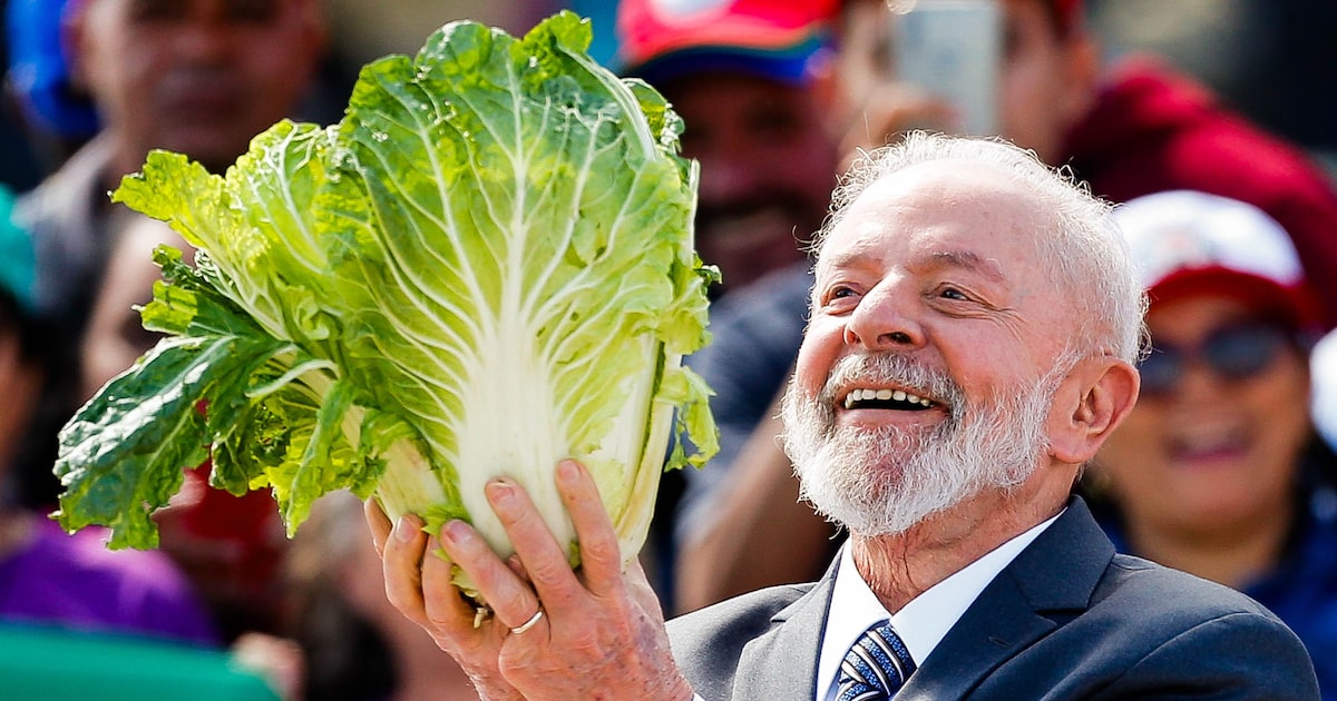 Foto:Reprodução