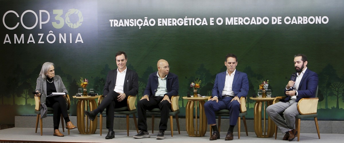 Negócios verdes. A repórter Daniela Chiaretti, David Canassa (Votorantin), Aspen Andersen (Vibra), Rafael Bittar (Vale) e Gustavo Pinto (PUC/Rio) — Foto: Marcelo Theobald/Agência O Globo