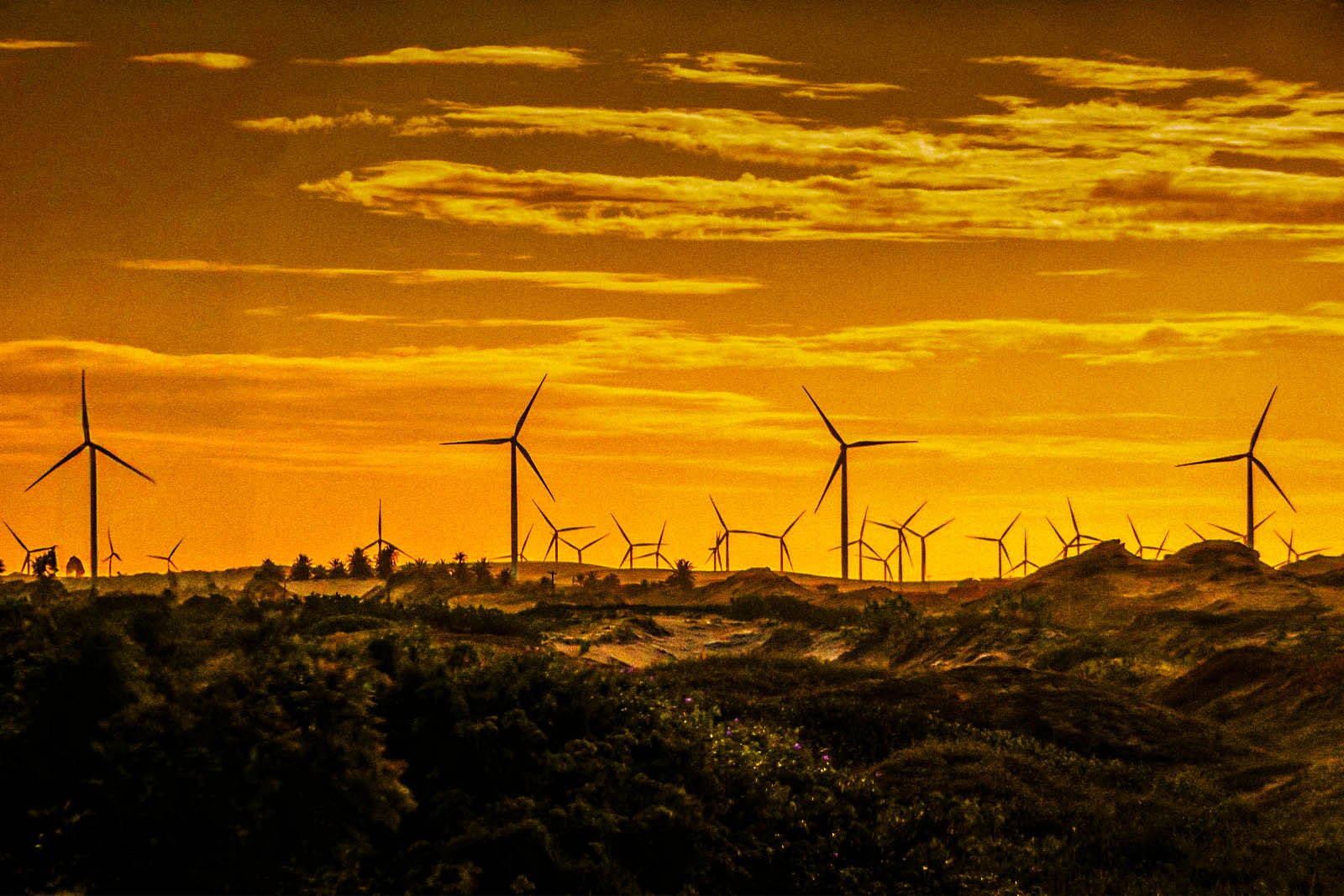 Engie anuncia investimento de R$ 11,6 bilhões em geração renovável no Brasil A empresa tem autorização para explorar comercialmente o espaço de Trairi até 2041 (Foto: Jorge Matheus (Reprodução / Engie))