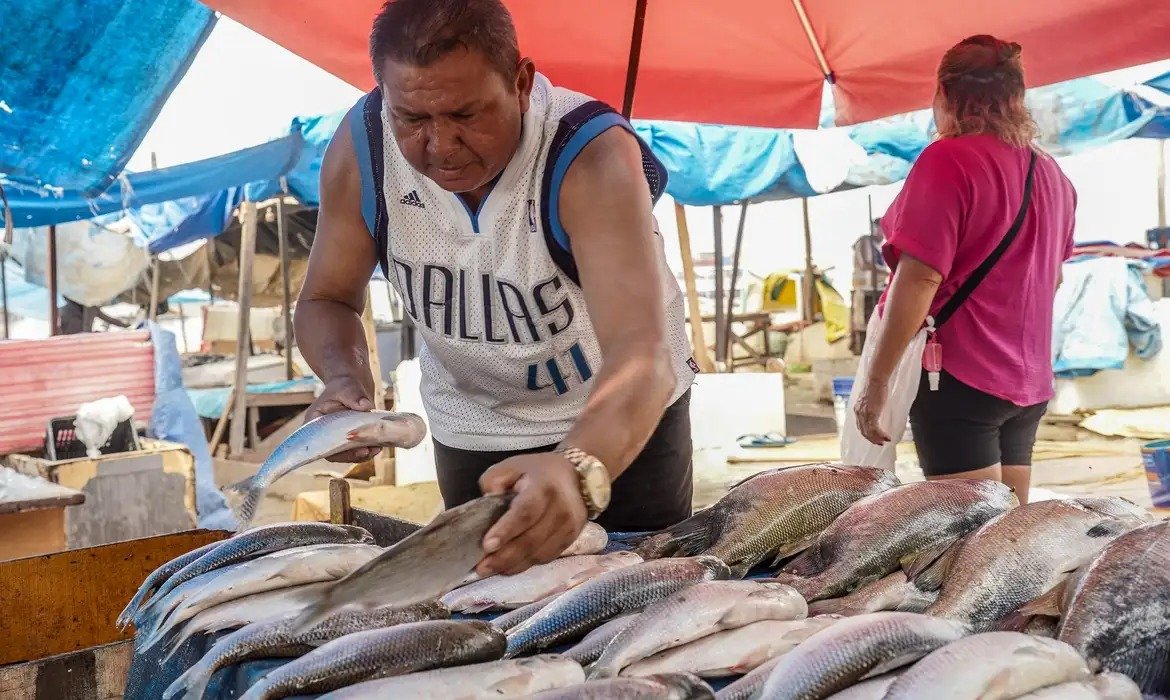 Produtores brasileiros enfrentam dificuldades com novas tarifas dos EUA Setores de pescados e cítricos apontam primeiros impactos de medidas de Trump (Foto: Rafa Neddermeyer/Agência Brasil)