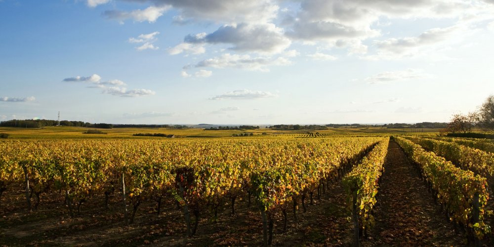 Descubra 20 vinhos da região do Loire por menos de 15 euros Descubra 20 vinhos da região do Loire por menos de 15 euros