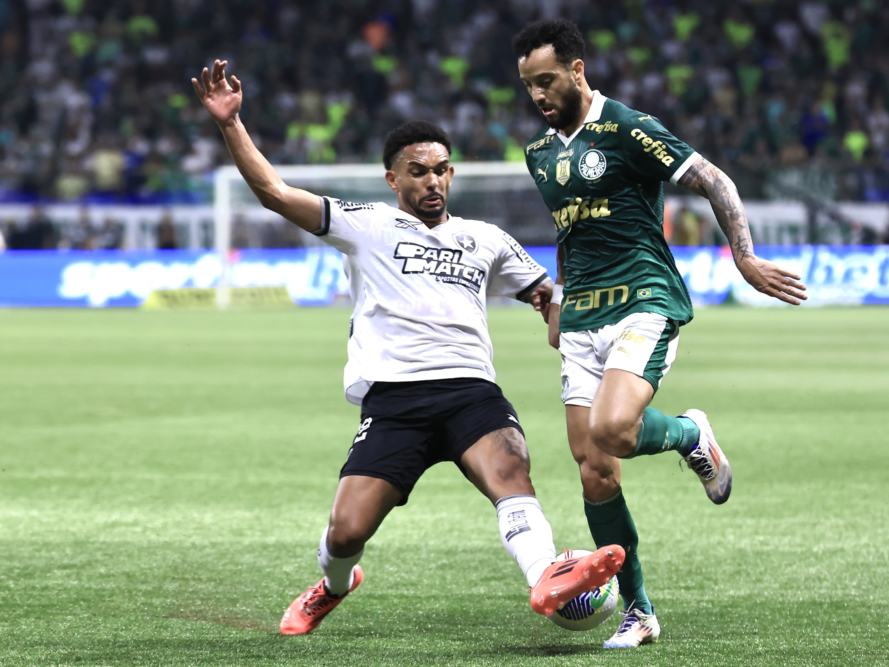 Palmeiras e Botafogo reavivam rivalidade e encerram 'união' na Copa do Brasil Foto: Reprodução