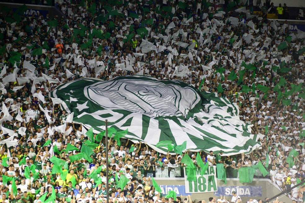 Foto:Reprodução