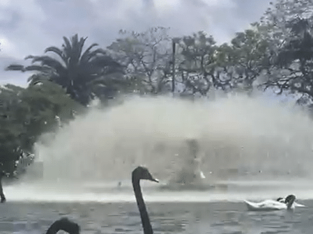 Foto:Reprodução