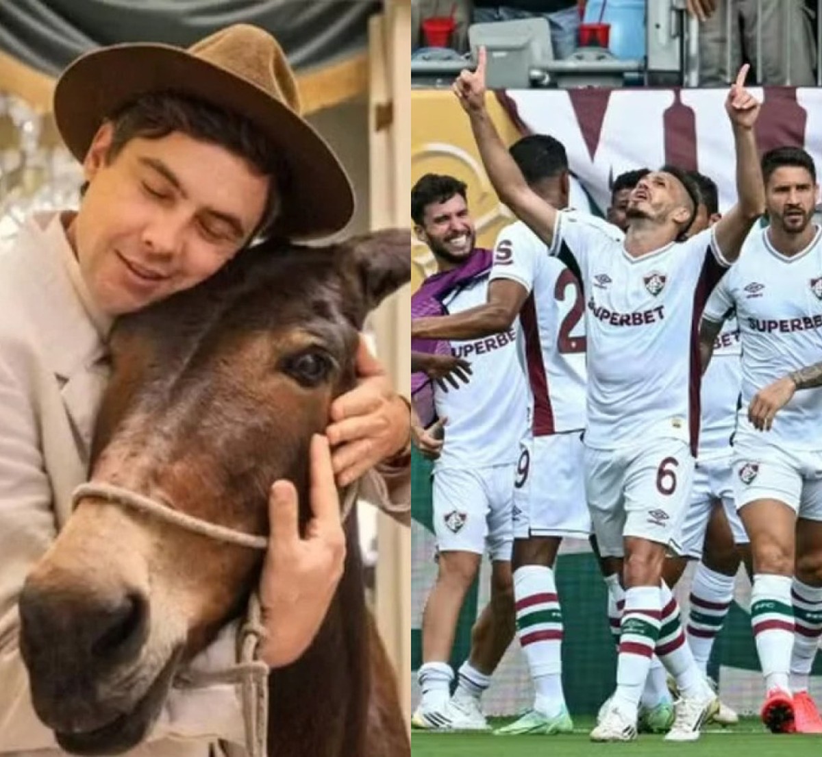 'Êta mundo melhor!' e Fluminense fazem história com recordes na Globo Estreia 'Êta mundo melhor!' e classificação do Fluminense na Copa (Foto: TV Globo e AFP)