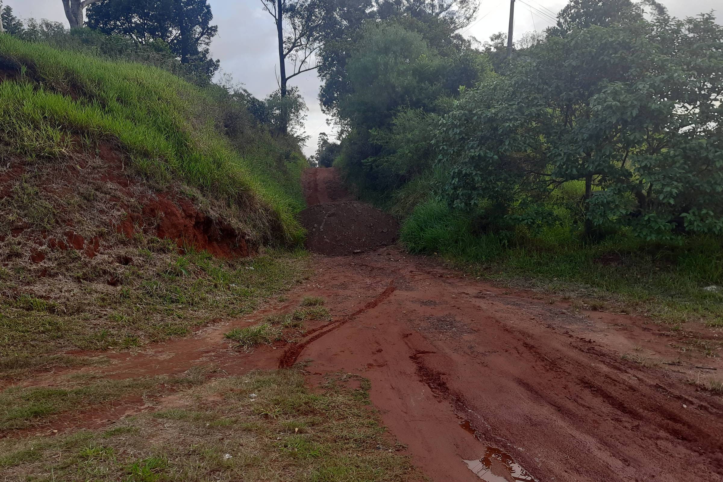 Foto:Reprodução