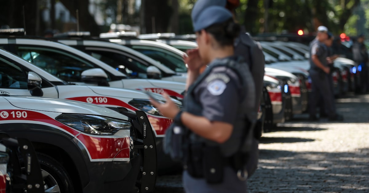 Reduzir crimes patrimoniais é desafio para a gestão Tarcísio (Foto: Felipe Rau/Estadão)
