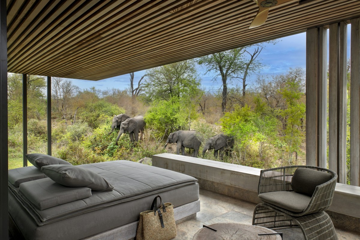 Safári luxuoso na África do Sul oferece diárias de R$ 80 mil e experiências únicas Cheetah Plains: safári de luxo promove contato direto com animais (Foto: Divulgação)