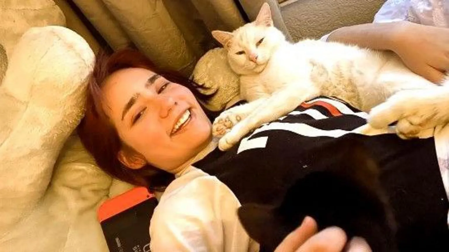 Foto:Reprodução