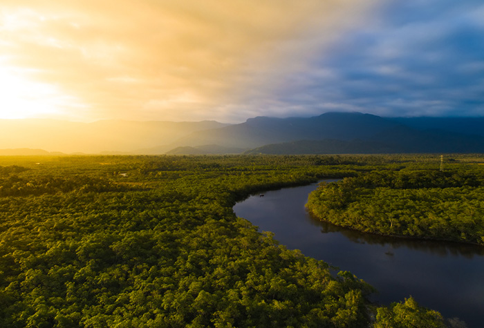MP solicita veto de Lula a mais de 30 itens do projeto de licenciamento ambiental Meio ambiente (Foto: Divulgação/Arquivo)
