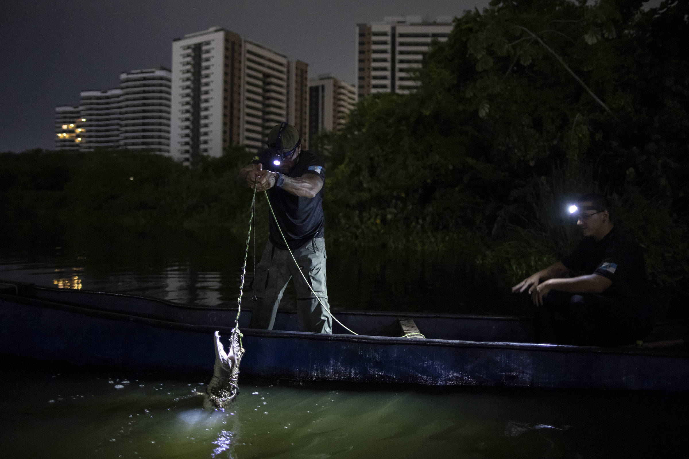 Foto:Reprodução