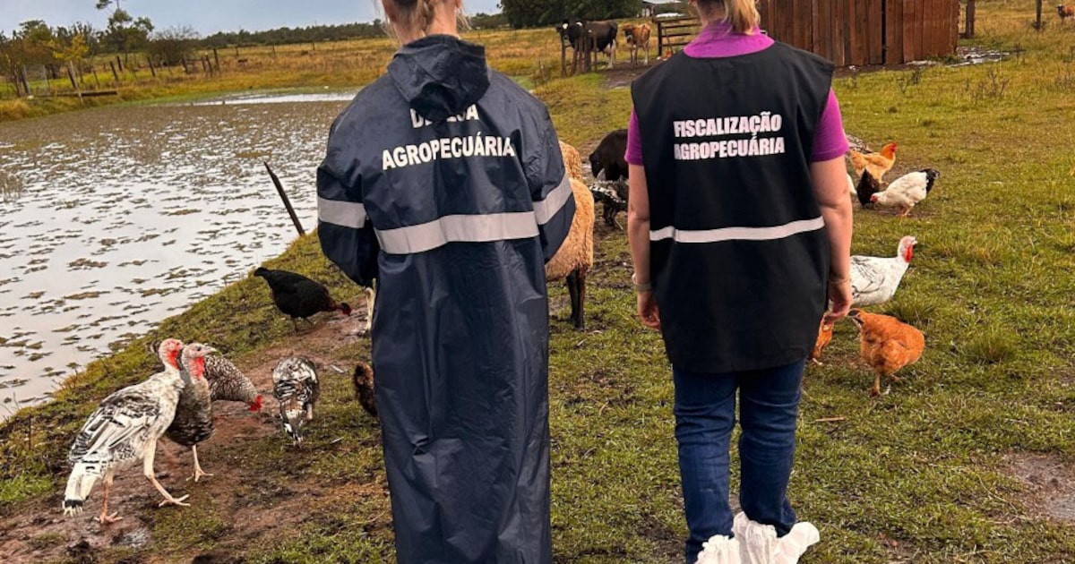 Foto:Reprodução