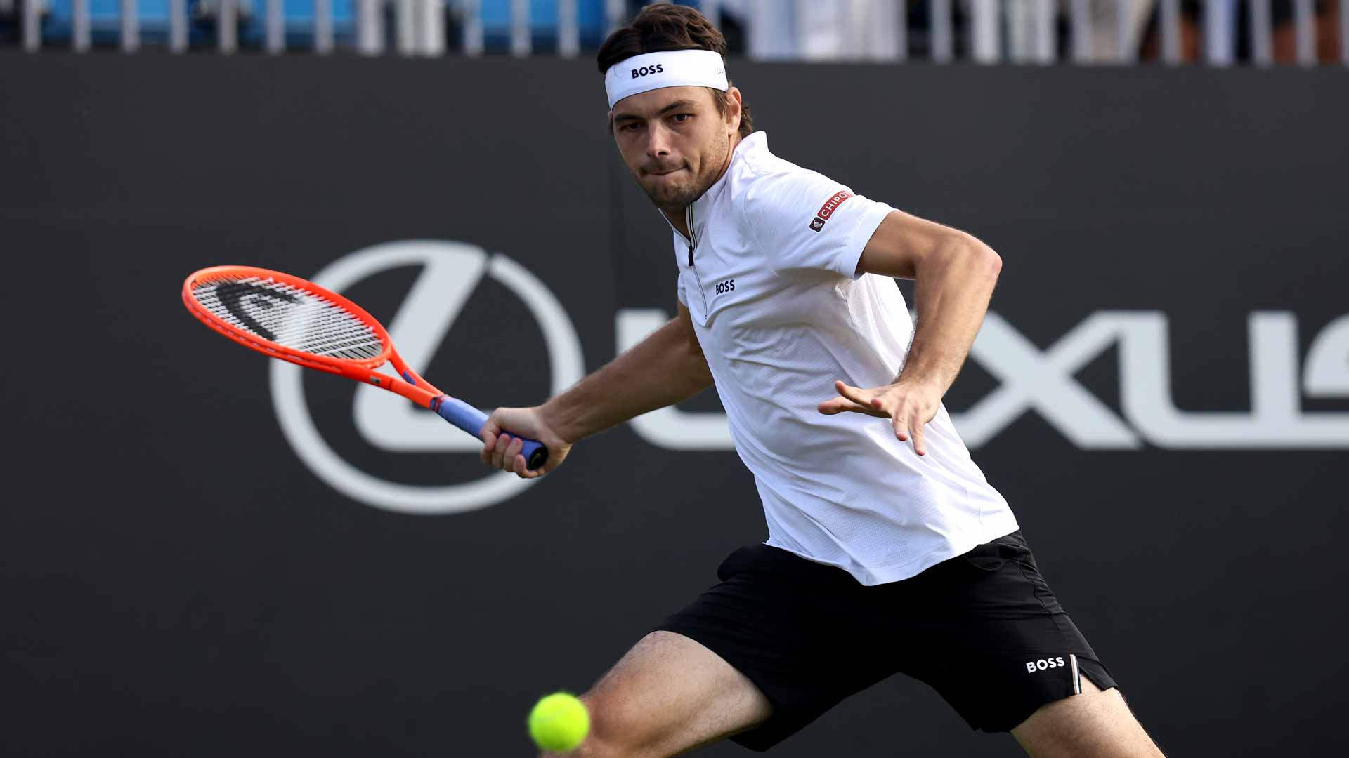 Fritz avança para semifinais após superar rodada dupla em Eastbourne Foto: Reprodução