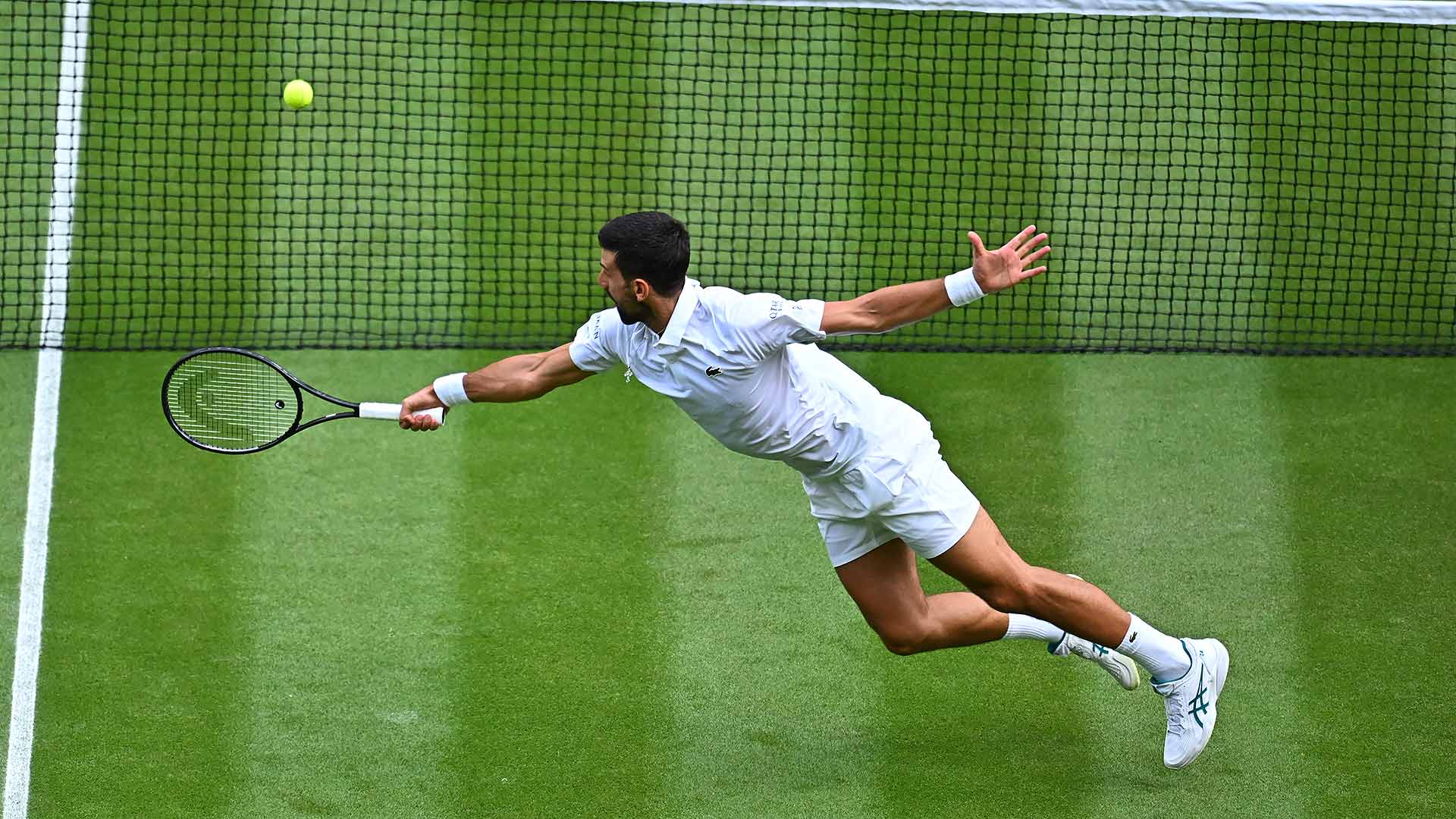 Djokovic inicia rodada com muitos brasileiros na Central às 9h30 Foto: Reprodução