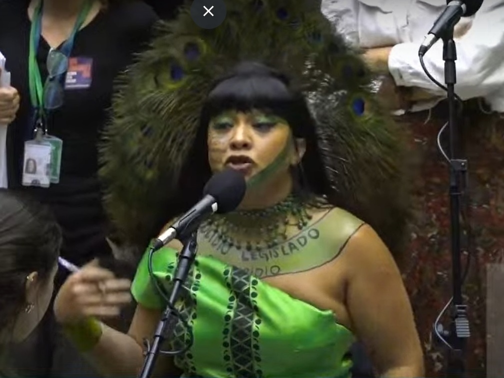 Polícia intervém em discussão acalorada entre Célia Xakriabá e Kim Kataguiri Célia Xakriabá foi chamada de "cosplay" de pavão por causa do cocar que usava (Foto: Reprodução YouTube)