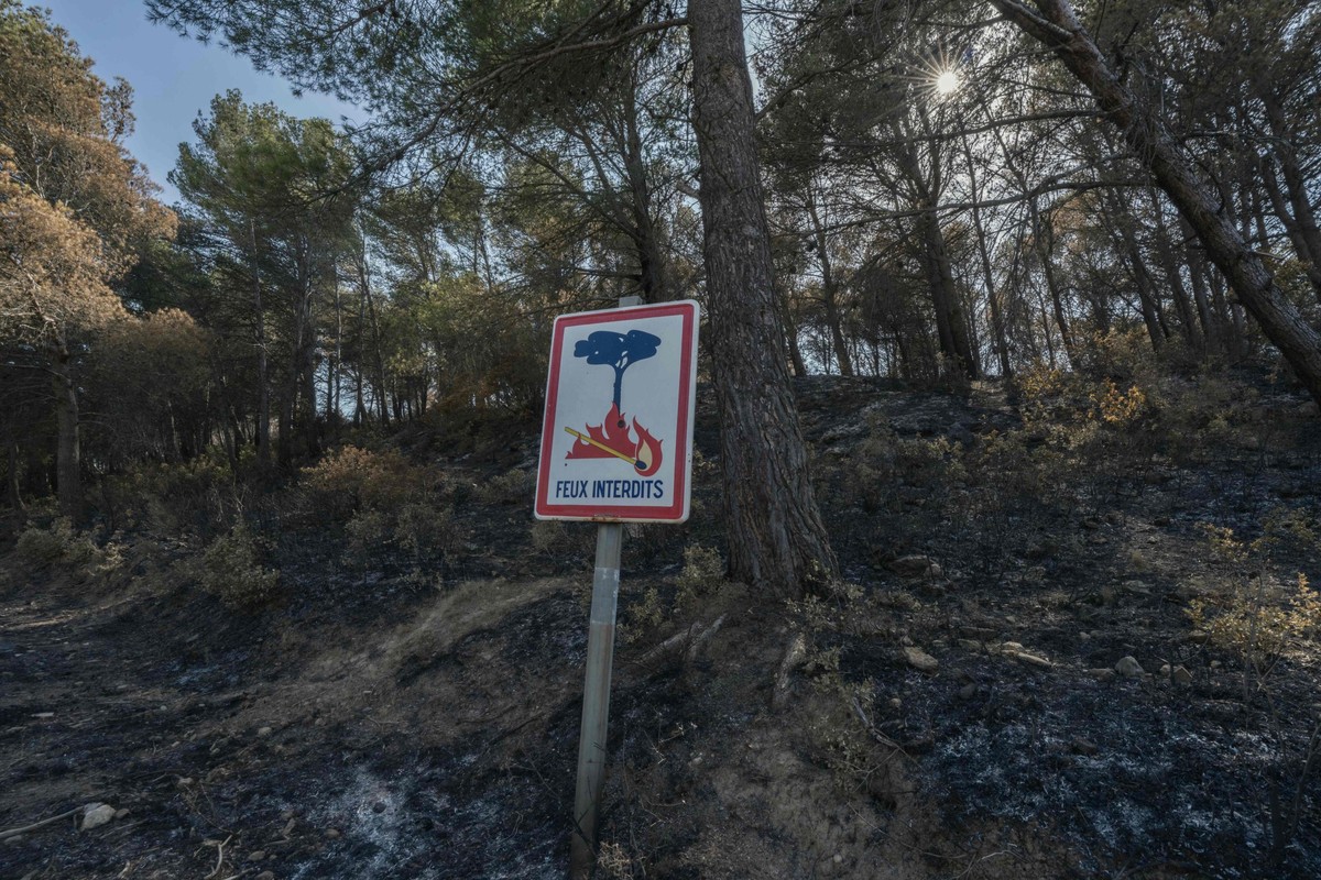 Incêndio florestal se espalhou e tomou grandes proporções em Thezan-des-Corbieres, sul da França (Foto: Idriss Bigou-Gilles / AFP)