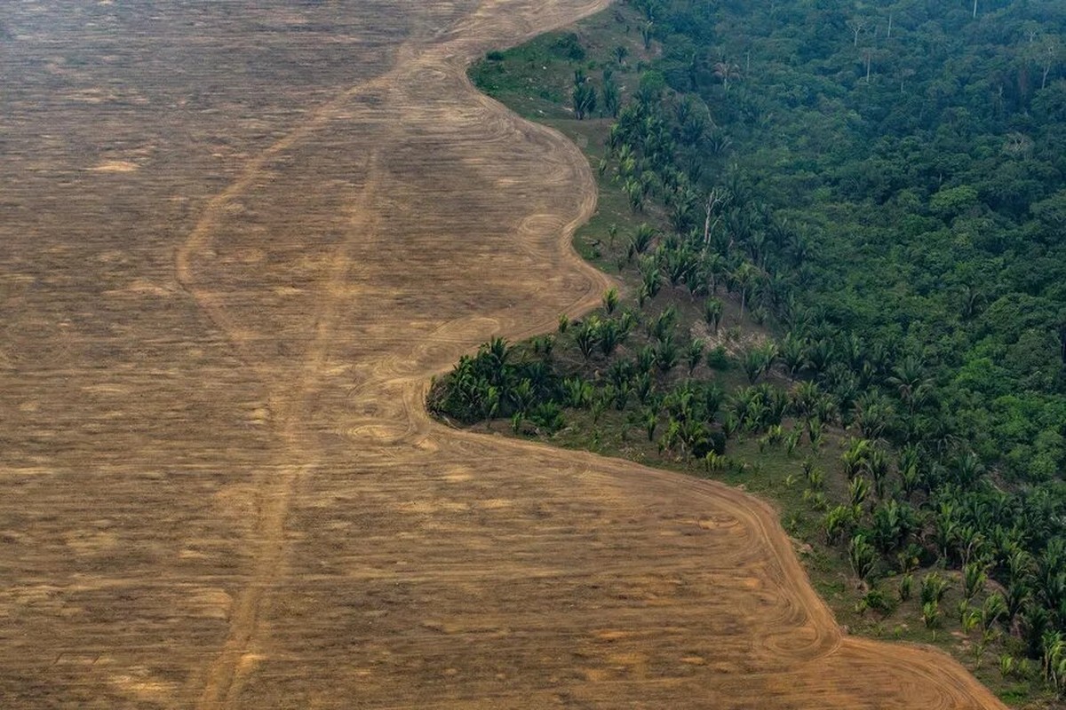 Foto:Reprodução