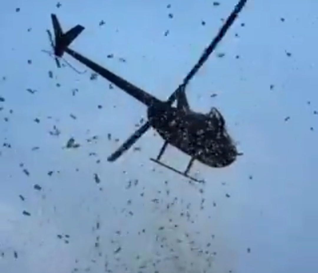 Família rica distribui R$ 27 mil em dinheiro de helicóptero nos Estados Unidos Foto: Reprodução