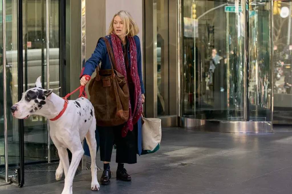 Naomi Watts em cena de 'O Amigo' (Foto: Divulgação)