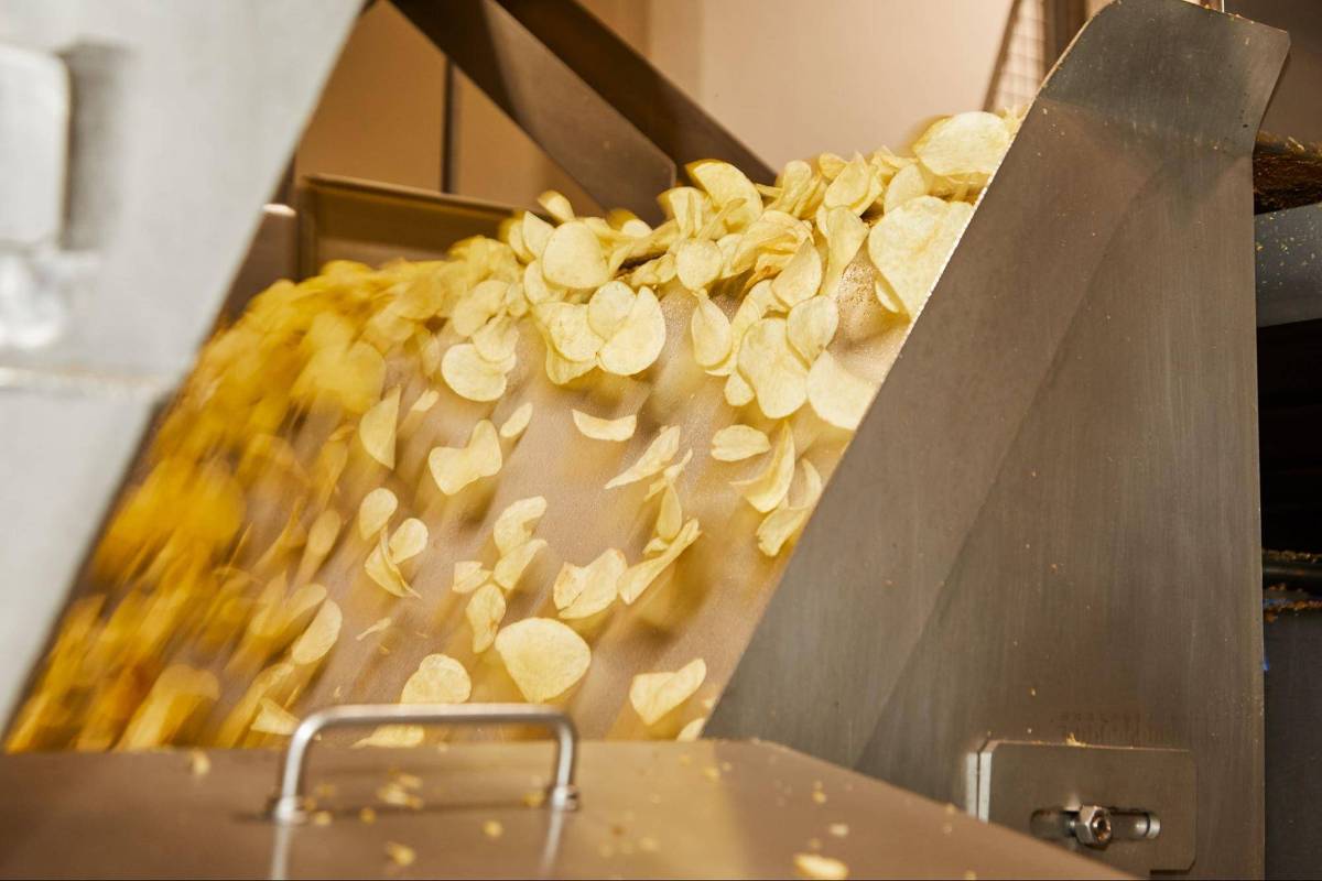 Pepsico lança nova linha de produtos saudáveis para atender consumidores exigentes Batatas-semente em fazenda modelo que fornece produtos à PepsiCo (Foto: Sérgio Prado/Divulgação)
