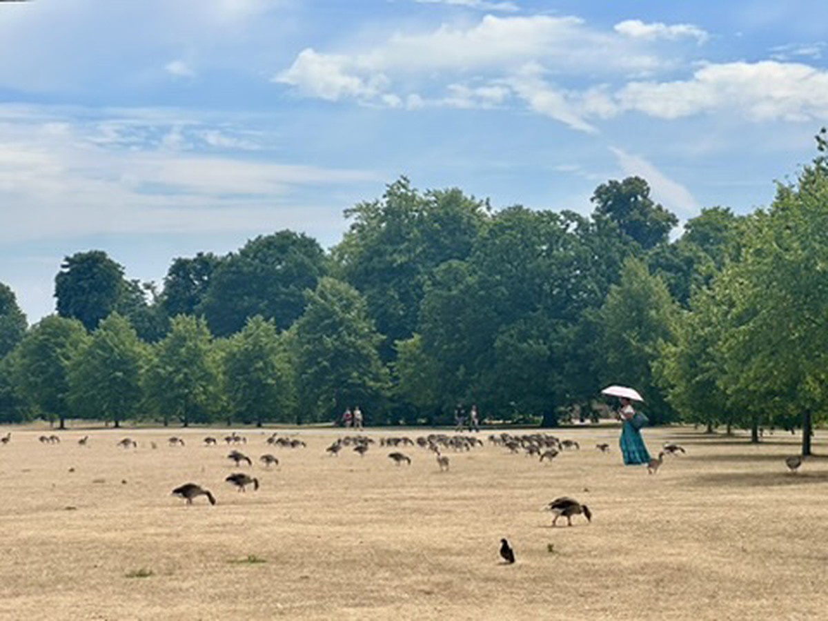 Verões marcantes: reflexões sobre os últimos momentos de nossas vidas O calor extremo em Londres esturricou o gramado de Kensington Gardens, junto ao Palácio da Diana (Foto: Ruth de Aquino)