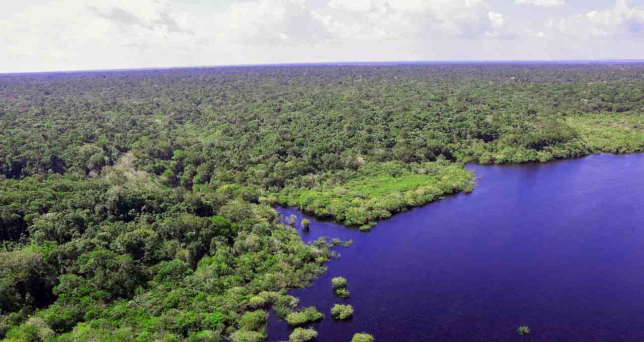 Brics adota posicionamento ousado sobre meio ambiente em nova rodada de negociações RISCOS Amazônia: uma das florestas tropicais que pode ser beneficiada com novo fundo brasileiro (Foto: Fabio Rodrigues-Pozzebom/Agência Brasil/VEJA.com)