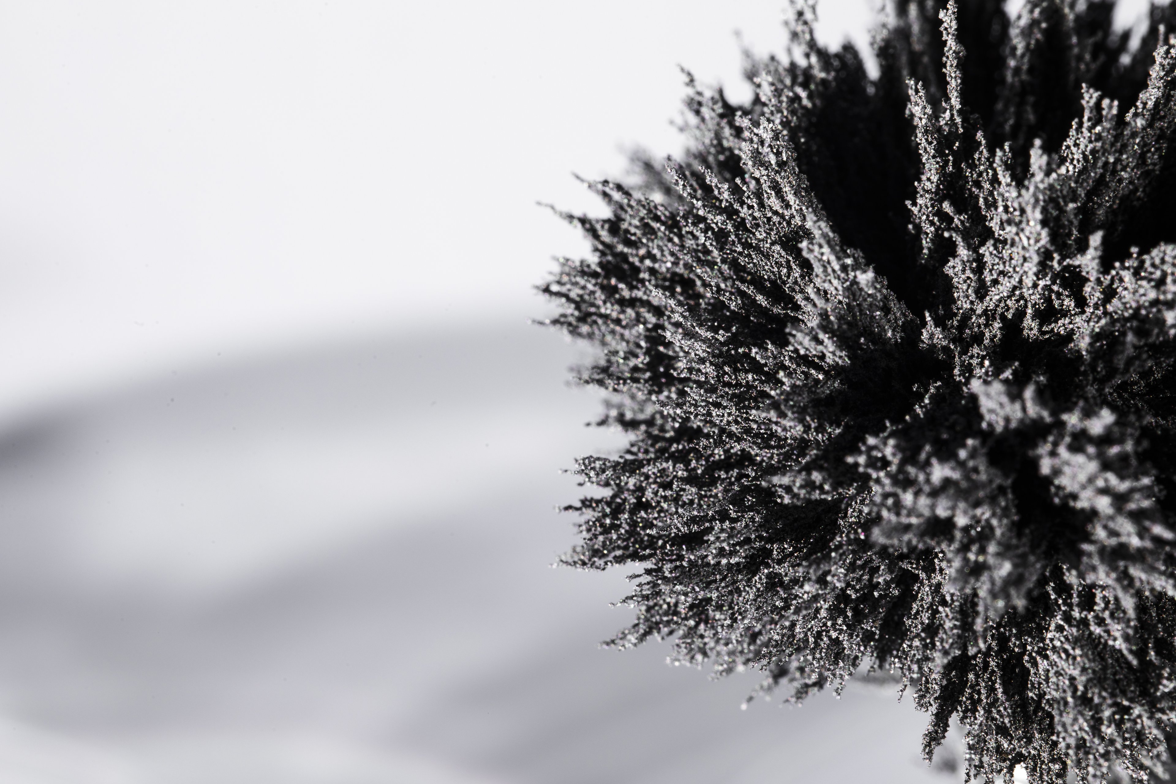 Geada negra pode afetar o Paraná; entenda o fenômeno climático inusitado A geada negra ocorre quando massas de ar extremamente frio e seco invadem uma região, fazendo com que a temperatura caia rapidamente abaixo de 0 °C (Foto: Freepik)